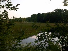 IAT; Langlade County Arboretum, WI